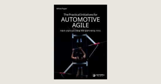 The Practical Initiatives for AUTOMOTIVE AGILE